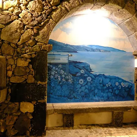 H2viola & * Lomba da Maia