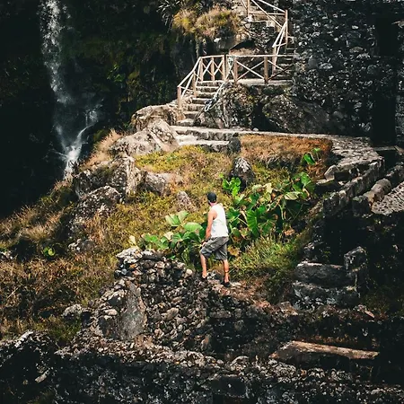 H2viola & Ferienhaus *