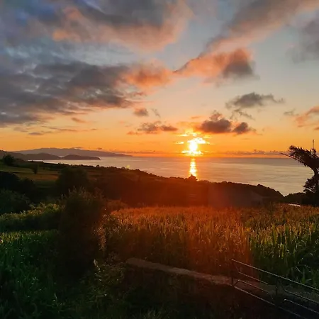 H2viola & Ferienhaus Lomba da Maia