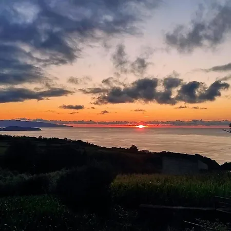 Ferienhaus H2viola &