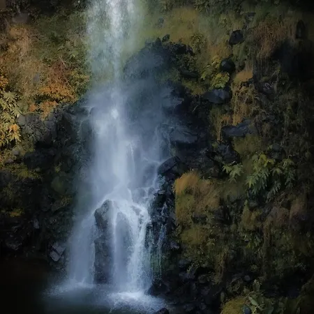 H2viola & Ferienhaus Lomba da Maia