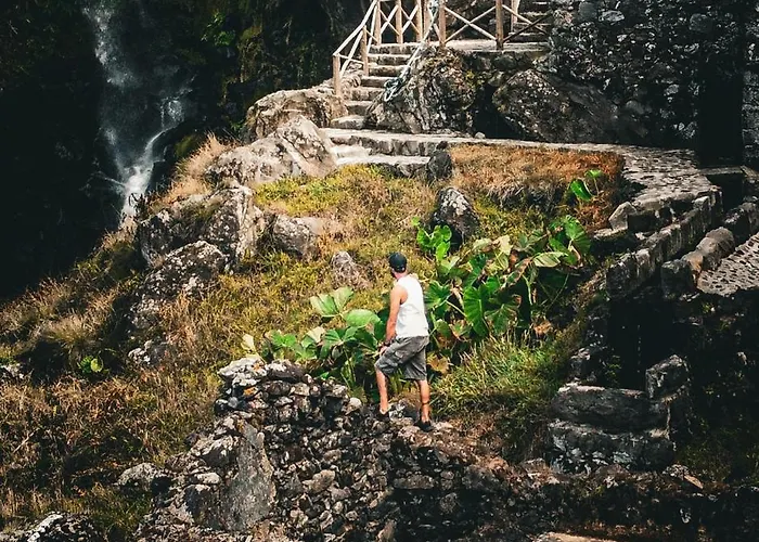 H2viola & 度假居 *