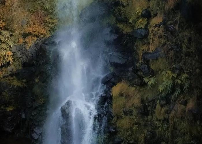 H2viola & 度假居 Lomba da Maia